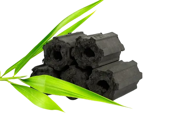 Bio-coal demand in India